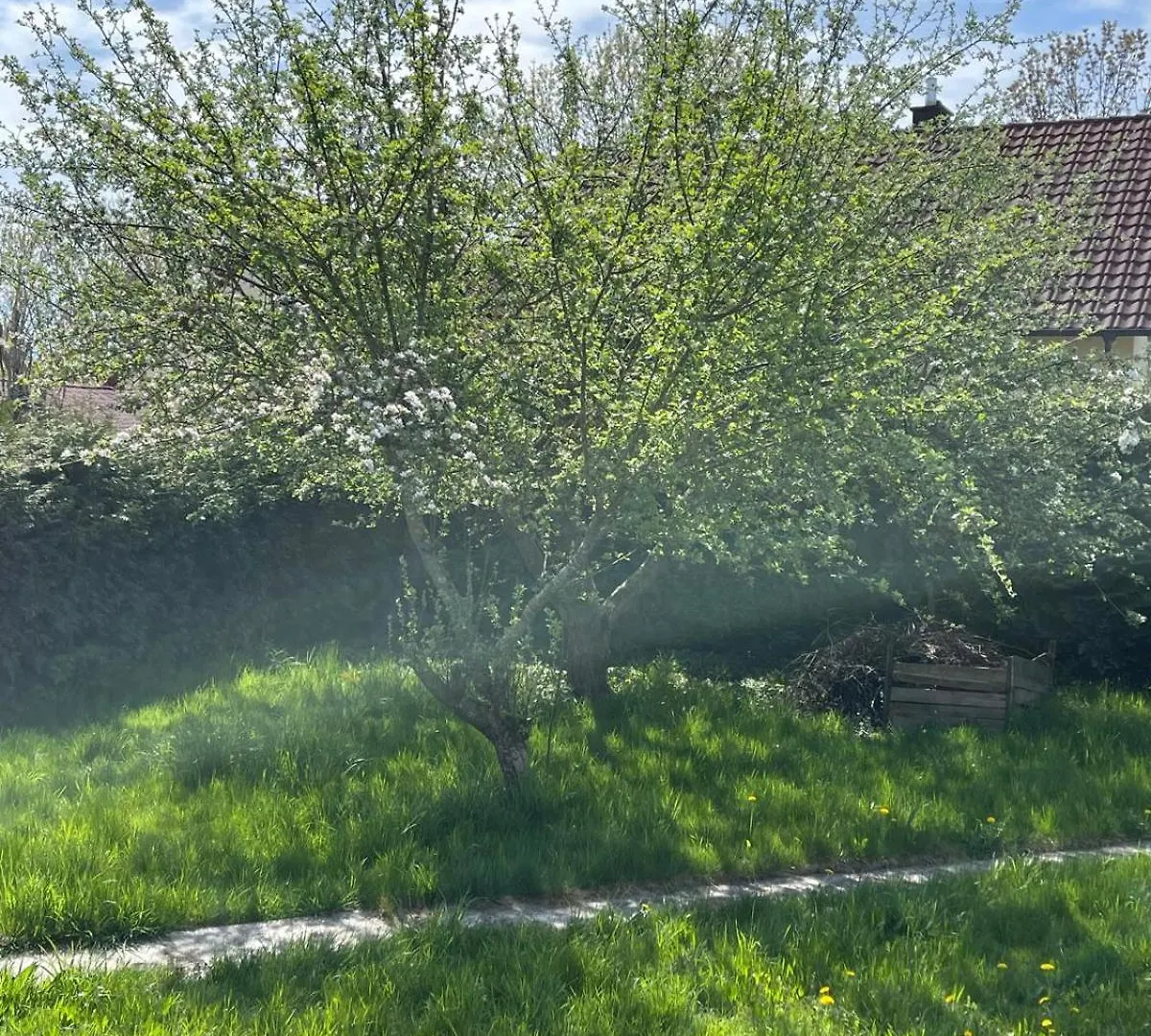 Bungalow In Ruhiger Siedlung Mit Stellplatz 兰茨胡特